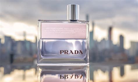 prada amber douglas|Prada amber pour homme review.